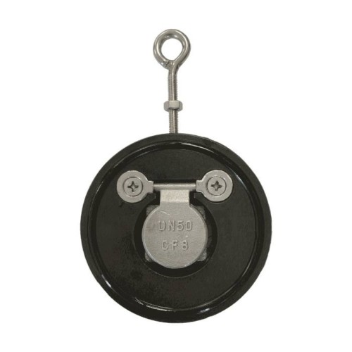 Клапан обратный стальной однодисковый межфланцевый 1,6 МПа Benarmo 65х16 мм в Омске