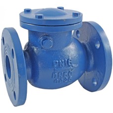 Клапан обратный чугунный подъемный фланцевый 2,5 МПа 16кч9нж Луидор 32х180 мм